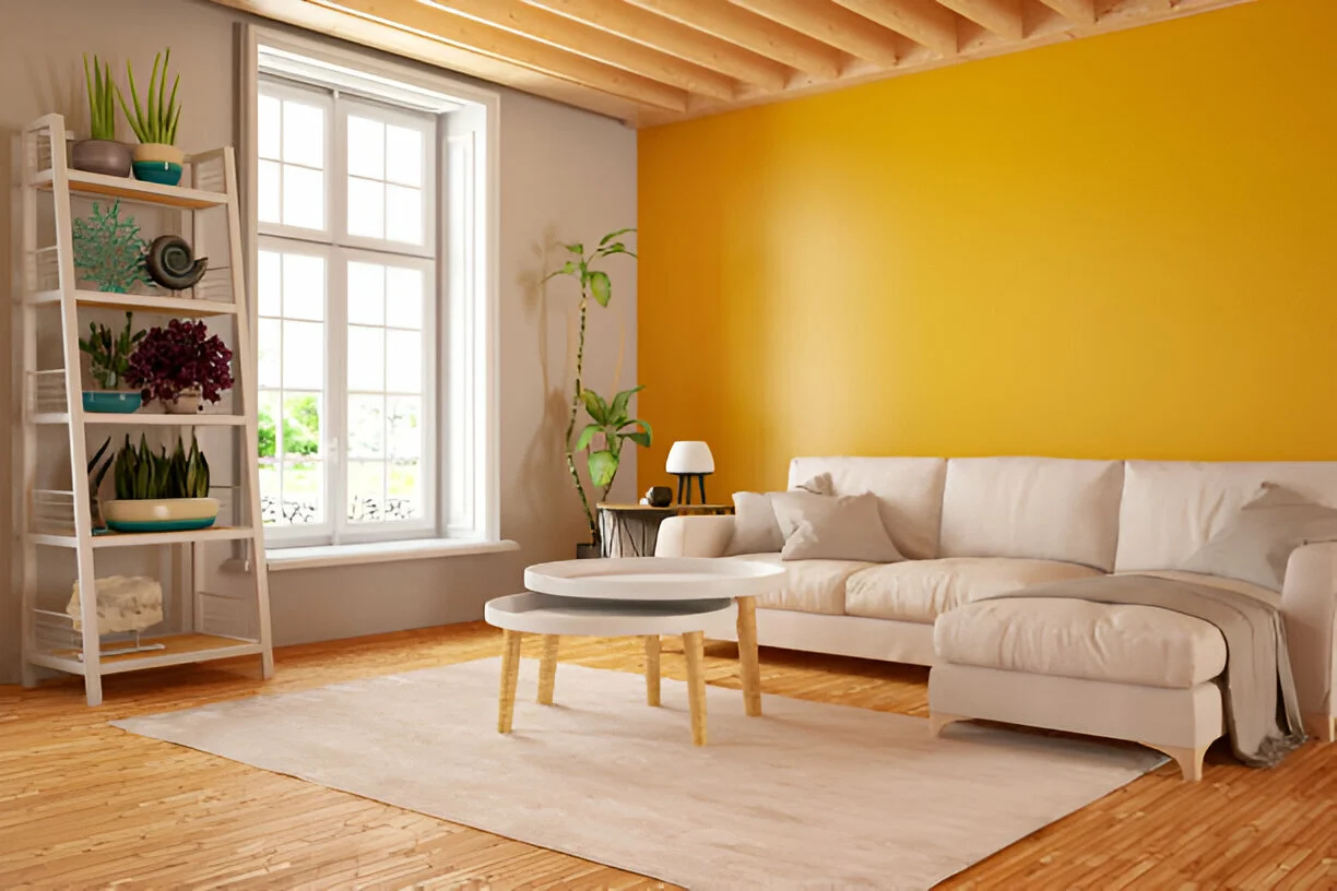 Paint Colors